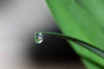 醫(yī)療保險可以退保嗎
