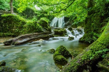 中國(guó)人壽退保計(jì)算方式