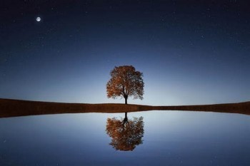 金彩明天兩全a分紅型保險責(zé)任是什么？分紅怎么計算?