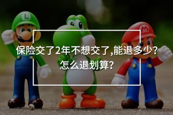 保險(xiǎn)交了2年不想交了,能退多少
