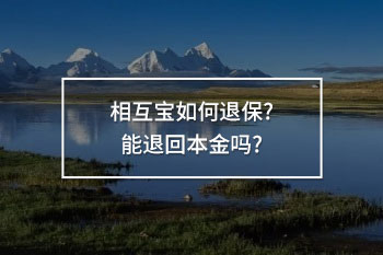 相互寶如何退保