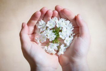 保險(xiǎn)怎么退