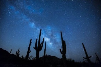 網(wǎng)上找的退保公司靠譜嗎