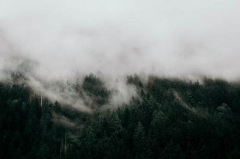 泰愛保百萬醫(yī)療險(xiǎn)怎么退保