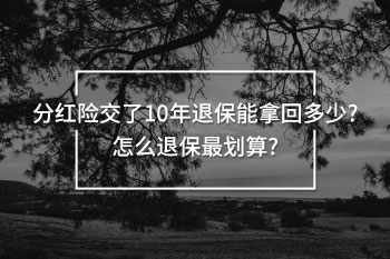 分紅險(xiǎn)交了10年退保能拿回多少