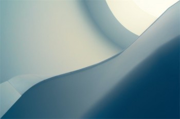 全額退保公司合法嗎