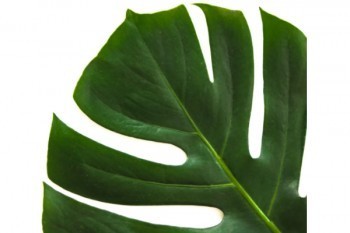 平安公司退保險(xiǎn)怎么退