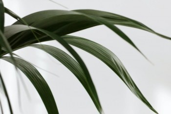 百萬醫(yī)療保險如何退保