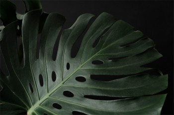 退保的錢什么時(shí)候可以到賬