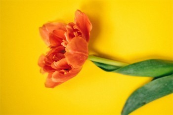 信用卡買(mǎi)的保險(xiǎn)怎么退保