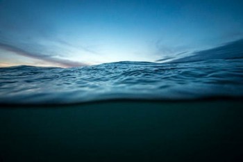 怎樣退保流程