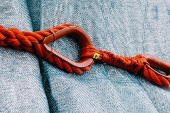 保險(xiǎn)交了四年想退保能退多少本金