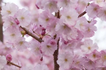 保險(xiǎn)如何全額退保