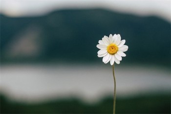 <a href=