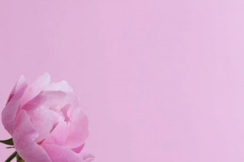 網(wǎng)上買的一元的保險(xiǎn)怎么退保