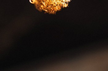新華惠添富年金保險(xiǎn)怎么樣