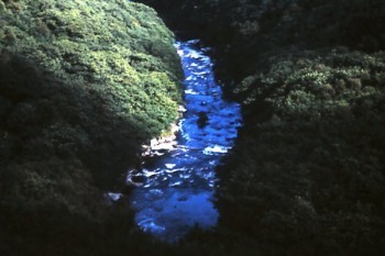 保險(xiǎn)交了一年，退了能退多少