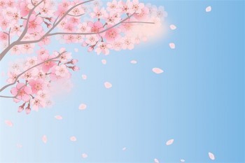 保險怎么樣退保？怎么樣退保比較劃算？