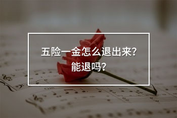 五險一金怎么退出來？能退嗎？