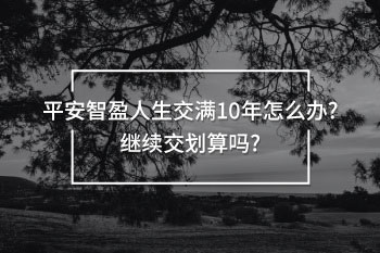 平安智盈人生交滿10年怎么辦