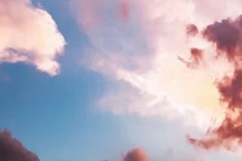 太平洋保險手機上怎么退