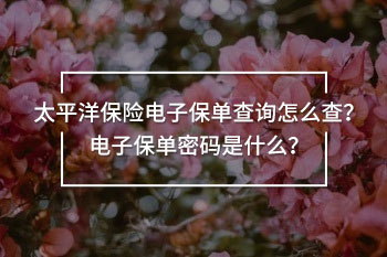 太平洋保險電子保單查詢
