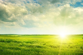 百萬(wàn)任我行退保流程