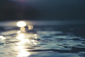 保險中途退保能退出多少錢