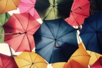 平安尊越人生兩全保險分紅型退保