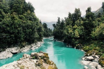 自己在手機(jī)上退保流程