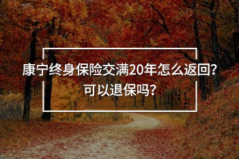 康寧終身保險交滿20年怎么返回