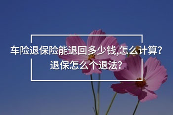 車險退保險能退回多少錢,怎么計算