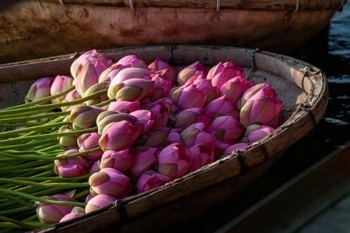 養(yǎng)老保險(xiǎn)退保怎么退能退多少錢