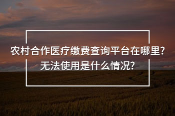 農(nóng)村合作醫(yī)療繳費查詢平臺