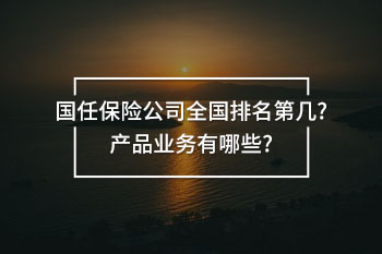 國(guó)任保險(xiǎn)公司全國(guó)排名