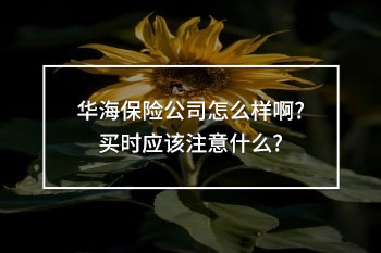 華海保險(xiǎn)公司怎么樣啊?買時(shí)應(yīng)該注意什么?