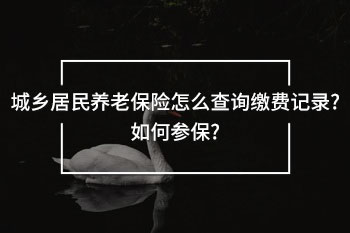 城鄉(xiāng)居民養(yǎng)老保險(xiǎn)怎么查詢繳費(fèi)記錄