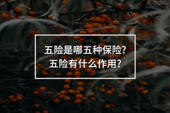 五險是哪五種保險?五險有什么作用?