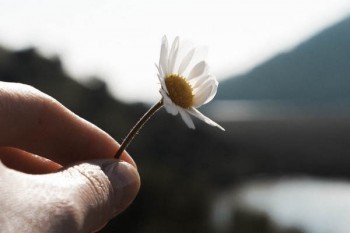 保險受益人指定的范圍