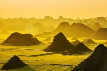 個(gè)人養(yǎng)老保險(xiǎn)繳費(fèi)明細(xì)查詢
