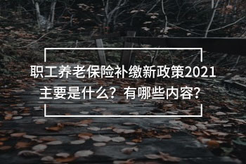 職工養(yǎng)老保險(xiǎn)補(bǔ)繳新政策2021主要是什么？有哪些內(nèi)容？