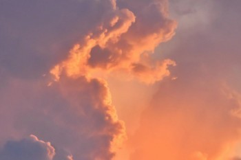 太平洋保險(xiǎn)官網(wǎng)
