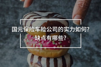 國元保險車險公司