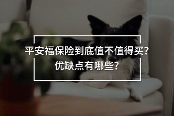 平安福保險到底值不值得買