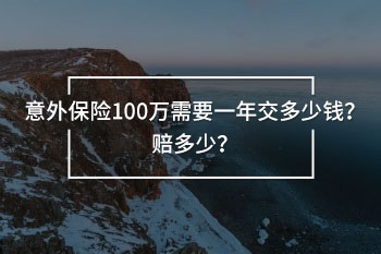 意外保險(xiǎn)100萬(wàn)需要一年交多少錢