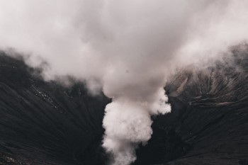社會保險業(yè)務(wù)網(wǎng)站