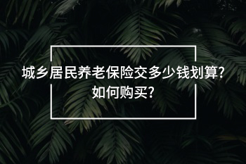 城鄉(xiāng)居民養(yǎng)老保險交多少錢劃算?如何購買?