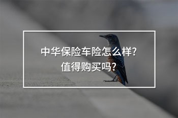 中華保險車險怎么樣