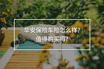 華安保險車險