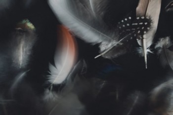 合眾人壽保險(xiǎn)公司可靠嗎